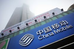 (2分钟教程)红河州官方网站_哔哩哔哩-3